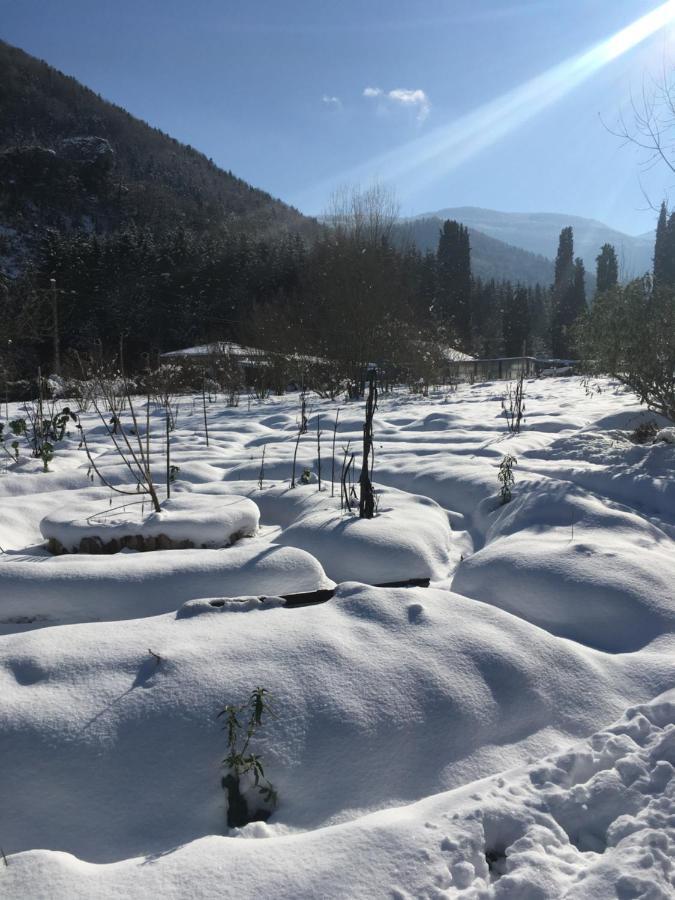 Sejour Chez L'Habitant Homestay Fougax-et-Barrineuf Bagian luar foto